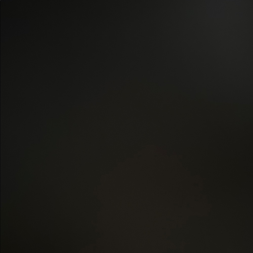 Authentication Certificate With Your Purchase - image 1